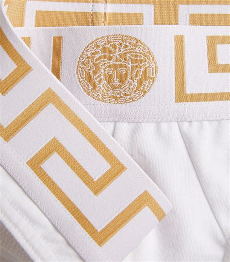 versace greca trim